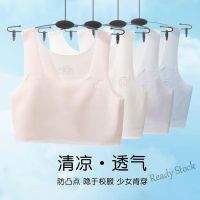 【Ready Stock】 ☢ C22 [ Ready Stock ] Childrens Training Underwear Girls Nude Lightweight Developmental Girls Middle Big Children Vest Wrapped Che