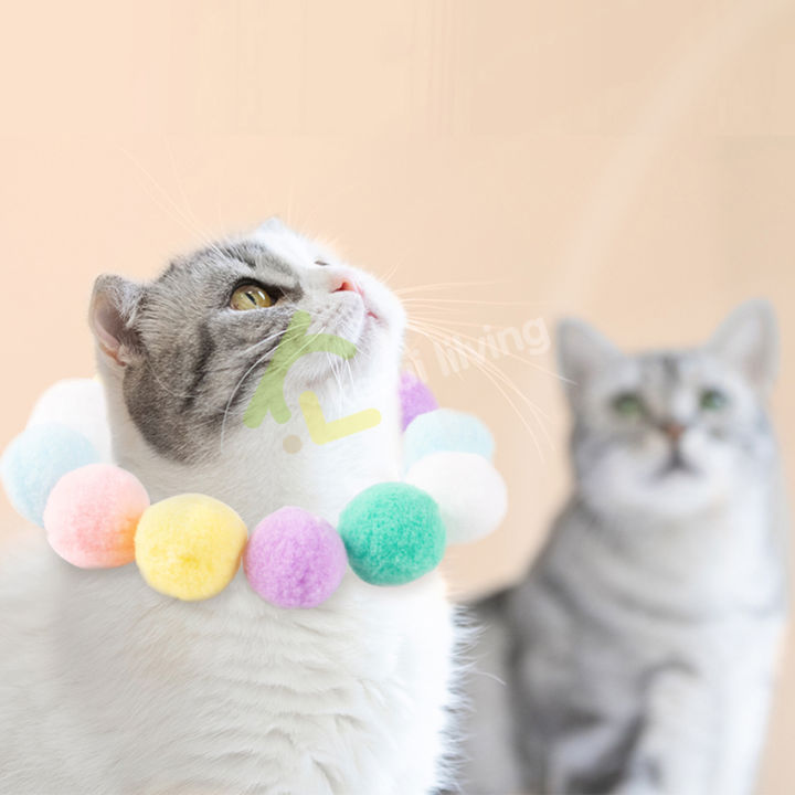 ลูกบอลขนแกะ-ลูกบอลแมวตบ-ลูกบอลสำหรับแมว-ลูกบอลคละสี-ชุดของเล่นสำหรับแมว-ฝึกแมว-คลายเคลียด-ลูกบอล-1-กล่อง-12-ชิ้น-หลากสี-นุ่ม-ยืดหยุ่น