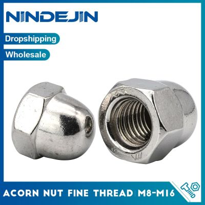 NINDEJIN 2/5pcs Acorn Cap Nut Metric Fine Thread M8 M10 M12 M14 M16 Stainless Steel Hexagon Dome Cap Nut Blind Nuts Nails Screws Fasteners