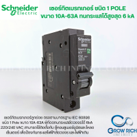 Schneider ลูกเซอร์กิต 1P  เบรกเกอร์ ลูก เซอร์กิต เซอร์กิตเบรกเกอร์ ลูกย่อย  เบรกเกอร์ลูกย่อย Plug On ชไนเดอร์