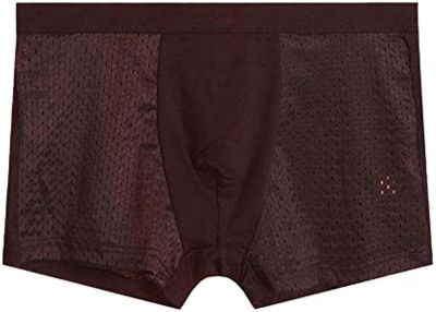 Soluo Mens Quick Dry Mesh Boxer Brief Ice Silk Breathable Trunks Underwear Athletic Sports Comfortable Underpants Shorts
