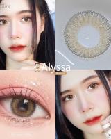 คอนแทคเลนส์ Mayalens รุ่น Alyssa (สีเทา) ขนาด14.5