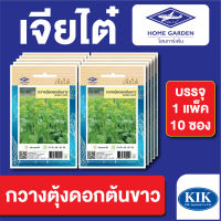 ผักซอง เจียไต๋ CT15 กวาตุ้งดอกต้นขาว บรรจุแพ็คล่ะ 10 ซอง ราคา 70 บาท