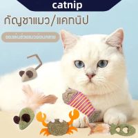 ของเล่นเเมว กัญชาเเมว catnip แคทนิป ของเล่นสัตว์เลี้ยง ของเล่นหนูปลอม สมุนไพรเเมว ของเล่นเเมว เเมว ของเล่น