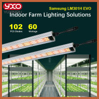 60W SamsungLM301H EVO ไฟบาร์ led  full spectrum ไฟปลูกผักไฮโดรโปนิกส์ ไฟปลูก ช่วยการเจริญเติบโตของพืช