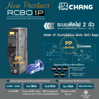 Chang เซอร์กิต กันดูด RCBO 1P ลูกย่อย