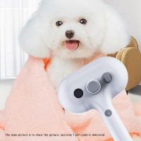 Pet Spray Comb Brush for Dog with USB Charge Cats Comb Pet Hair Roller Floating Hair Removal Comb Pet Care Pet Supplies