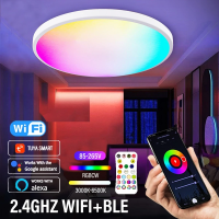 ?รับประกัน 1ปี?TUYA APP สมาร์ท WIFI โคมไฟติดเพดาน led โคมไฟติดเพดานทรงกลม 24W RGBCW หรี่แสงได้ โคมไฟห้องนั่งเล่นห้องนอน ไฟแต่งห้องนอน