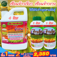 [พร้อมส่ง] เซียนข้าวเขียว 4 ลิตร ซื้อ1 แถม2 เซียนข้าวรวง ฮอร์โมนข้าว ยาฉีดข้าว ปุ๋ยน้ำ อาหารเสริมพืช อะมิโน สาหร่าย