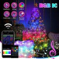 RGBIC Indoor Fairy Light LED String Lights for Home Outdoor Corridor Decoration USB Holiday MultiColor Garland with App Control