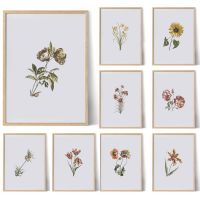 Vintage Botanical ดอกไม้พิมพ์ Wall Art ภาพวาดผ้าใบสำหรับศึกษาห้องนั่งเล่น Home Bar Decor