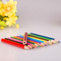 12สีสวนไม้ดินสอหลากสีธีมลับเครื่องมืองานศิลปะปากกาหลากสี