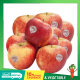 แอปเปิ้ล Envy แอปเปิ้ลเอนวี่ (size 28-35 )(USA) (ราคา 2 ลูก)