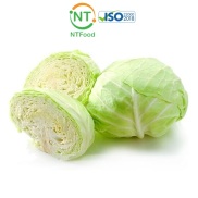 1 trái Bắp sú Đà Lạt 1Kg tươi ngon mỗi ngày - Nhất Tín Food