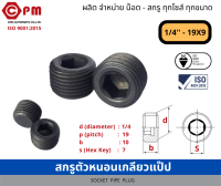 สกรูตัวหนอน เกลียวแป๊ป 1/4 - 19x9  [SOCKET PIPE PLUG]