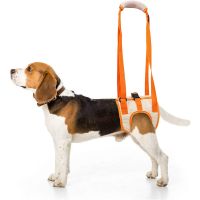 〖Love pets〗 Adjustable Dog Sling Back Legs Hip Support Pet Accessories for Canine Aid and Ligament Rehabilitation Dog Lift Harness