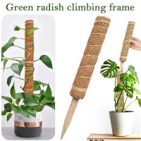 Plants Climbing Frame Green Radish Creeper Vine Moss Palm Trellis Frame Reusable Maintain Moisture Plant Supports Plant Cages