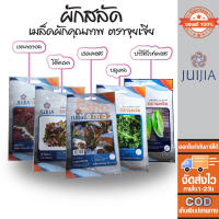 เมล็ดพันธุ์ เมล็ดผัก ผักสลัด ชุดผักสลัด คุณภาพ ตราจุยเจียร์ เรดคอส , ปารีสไวท์คอส , เรดคอรอล , บลูเคล , เรดโอ๊ค