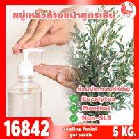 16842 ชุดทำ สบู่เหลวอาบน้ำ ล้างมือ ล้างหน้า (ใส) NON-SLS -5kg ใส่น้ำมันยูคาลิปตัส และ สารเพิ่มความเย็น