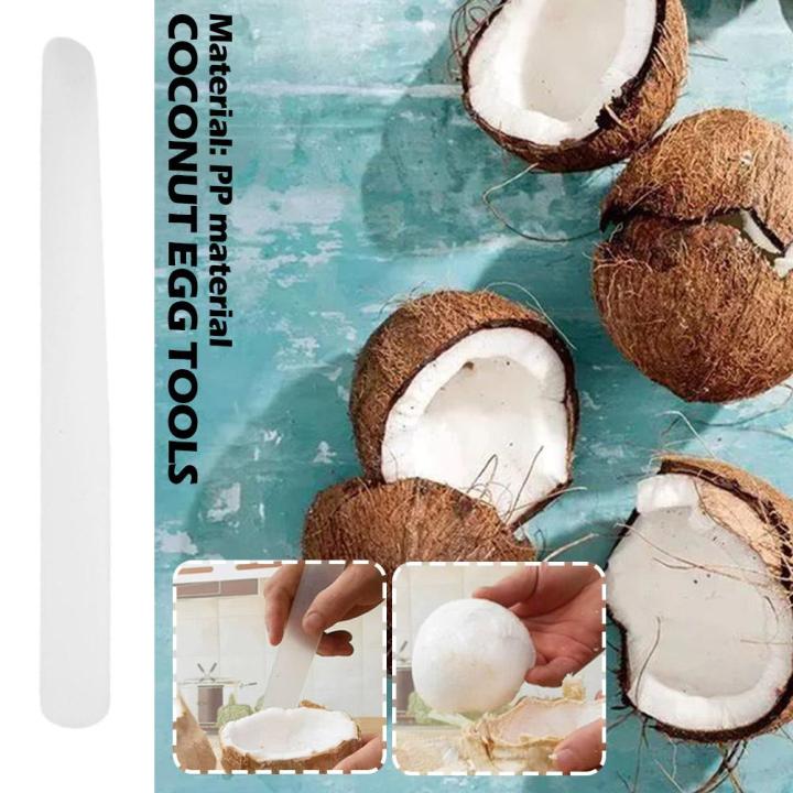 coconut-meat-scraper-plastic-coconut-meat-remover-digging-egg-soft-tools-extractor-coconut-v2r7