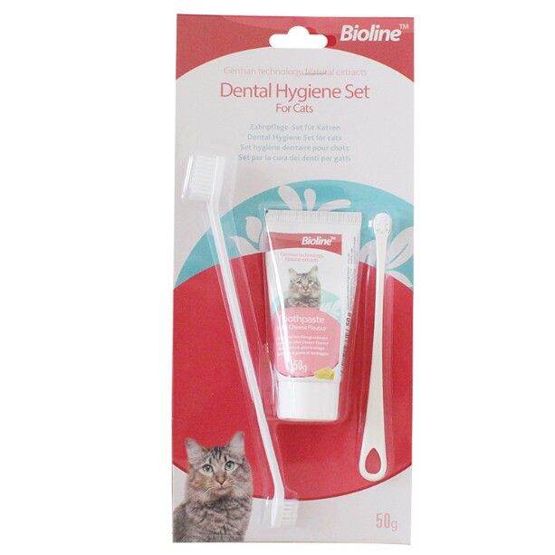 Bioline Dental Hygiene Set For Cats Cheese Flavour 50g Lazada