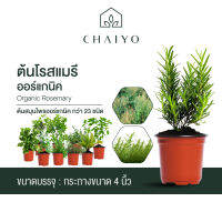 รวมต้นสมุนไพร ออร์แกนิค ชนิดต่างๆกว่า 23 ชนิด and Organic Herb 23 Varieties กระถาง 4 นิ้ว