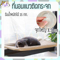 ที่นอนติดกระจก ที่นอนแมว cat bed hanger