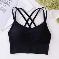 Sports Bra Women Fitness Top Seamless Yoga Underwear Running Yoga Gym Crop Top Women Push Up Sport Bra Vest