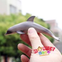 Monkey Toys - โมเดลสัตว์ Dolphin ปลาโลมา น้ำตาล ขนาด 13.00 CM (จากหาดใหญ่)