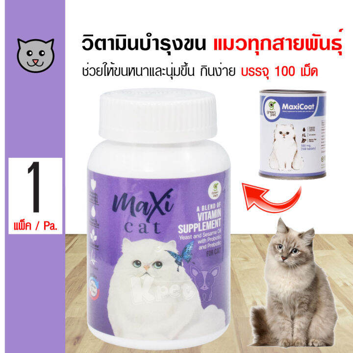 Maxicoat Cat สำหรับแมวทุกสายพันธุ์ (จำนวน 100 เม็ด/ กระปุก)  (เลขทะเบียนอาหารสัตว์ 0108640044) | Lazada.Co.Th