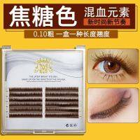 [COD] Caramel-colored grafted eyelashes natural and realistic soft single close-row brown coffee-colored planted false eyelashes