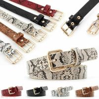 Vintage PU-leather Waist Belt All-match Belt Strap Snake Pattern Waistband Corset for Women Slimming Waist Belt Dropship Belts