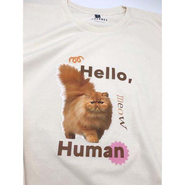 new-colllection-gangsterเสื้อยืดhello-human-sherbet-teeshop