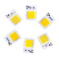 LED COB Chip ลูกปัดโคมไฟ LED ไม่มีคนขับสมาร์ทไอซี10W 20W 30W 220V สำหรับสปอตไลท์ไฟส่องสว่างแบบทำมือ