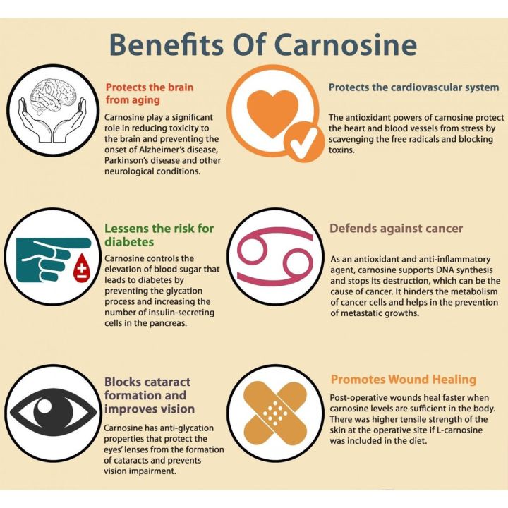 คาร์โนซีน-super-carnosine-500-mg-60-vegetarian-capsules-life-extension