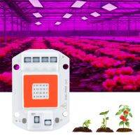 Red Blue LED COB Chip for Plant Grow Light Phyto Lamp Full Spectrum AC 220V 110V 20W 30W 50W for Indoor Plant Seeds Hydroponics