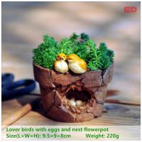 【CC】 Pot with Birds Succulent Platen Outdoor Indoor Flowerpot Garden Desktop Ornament