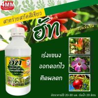 ฮัท ขนาด 1,000 ซีซี  สาหร่ายทะเลสีเขียวสูตรเข้มข้น