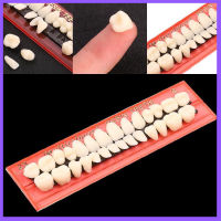 Be Acrylic Resin Denture Teeth Upper Lower Shade Dentures Dental Materials