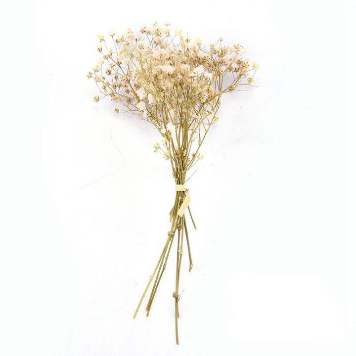 1-3-bunch-gypsophila-dried-flowers-home-wedding-decoration-flora-bouquet-artificial-flowers-valentines-day-gift-craft