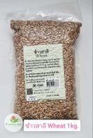 ข้าวสาลี ( WHEAT )ปริมาณ 1 Kg.