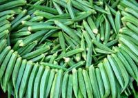 Green Okra (50 seeds) กระเจี๊ยบมอญเขียว (50 เมล็ด)