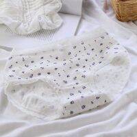 Ready Stock Women Gradient Purple Floral Underwear Middle Waist Lace Edge Bow Thread Cotton Crotch Girl Student