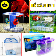Bể Cá Mini 1 2 3 Ngăn - Hồ Nuôi Cá Cảnh nhỏ gọn bằng Nhựa Mica
