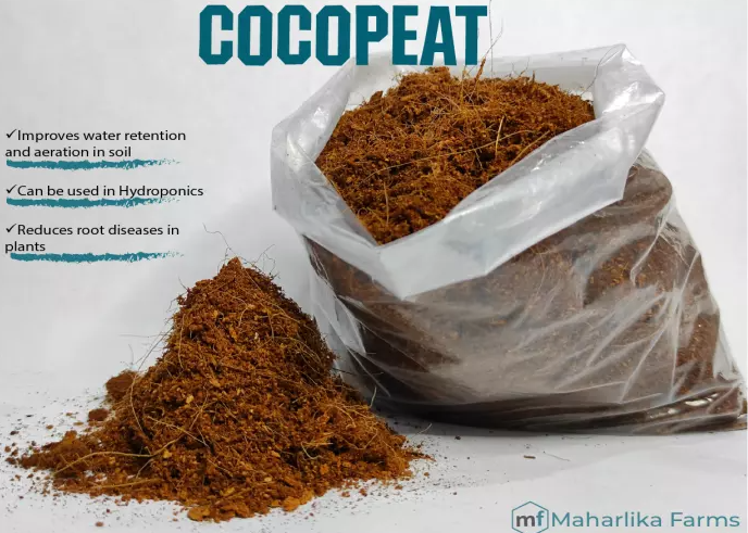 [1/2kg] COCOPEAT / COCO PEAT As Organic Soil Medium For Hydroponics ...