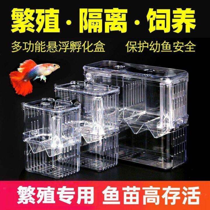 tank isolation box guppy breeding artifact fry hatching mother fish