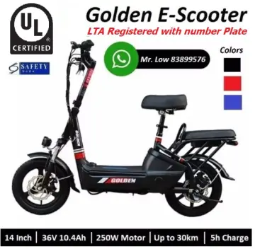 Golden Electric Scooter UL2272 PMD MaximalSG Lazada