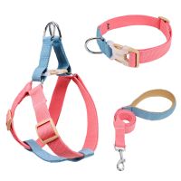 ✓ Adjustable Pitbull Dog Harness