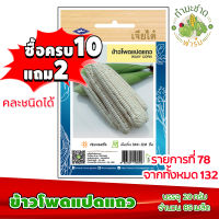 (ซื้อ10แถม2) เมล็ดพันธุ์ ข้าวโพด แปดแถว Waxy corn ประมาณ 85เมล็ด เจียไต๋ เมล็ดพันธุ์พืช เมล็ดพันธุ์ผัก เมล็ดผัก เม็ดผัก ผักสวนครัว พืชผัก