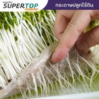 กระดาษปลูก (Paper Plant) SUPERTOP สำหรับถาดเพาะไร้ดิน